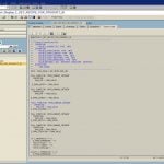 SAP SE80 中的示例 RFC